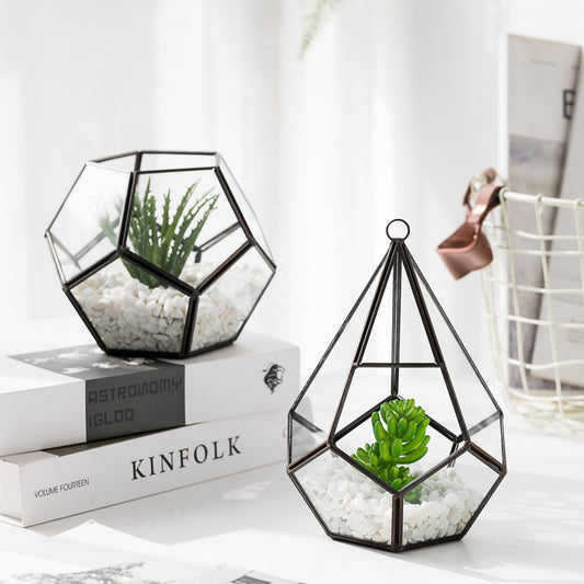 Glass and Metal Succulent Display